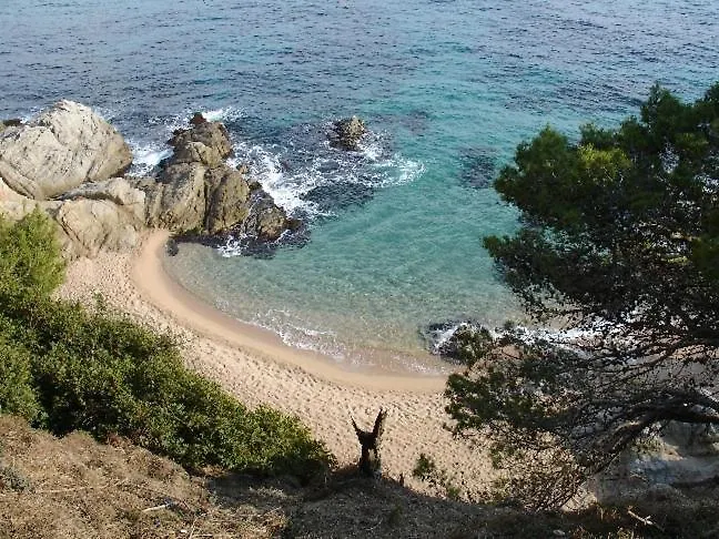 Apartamento Laurel Lloret de Mar 0*,